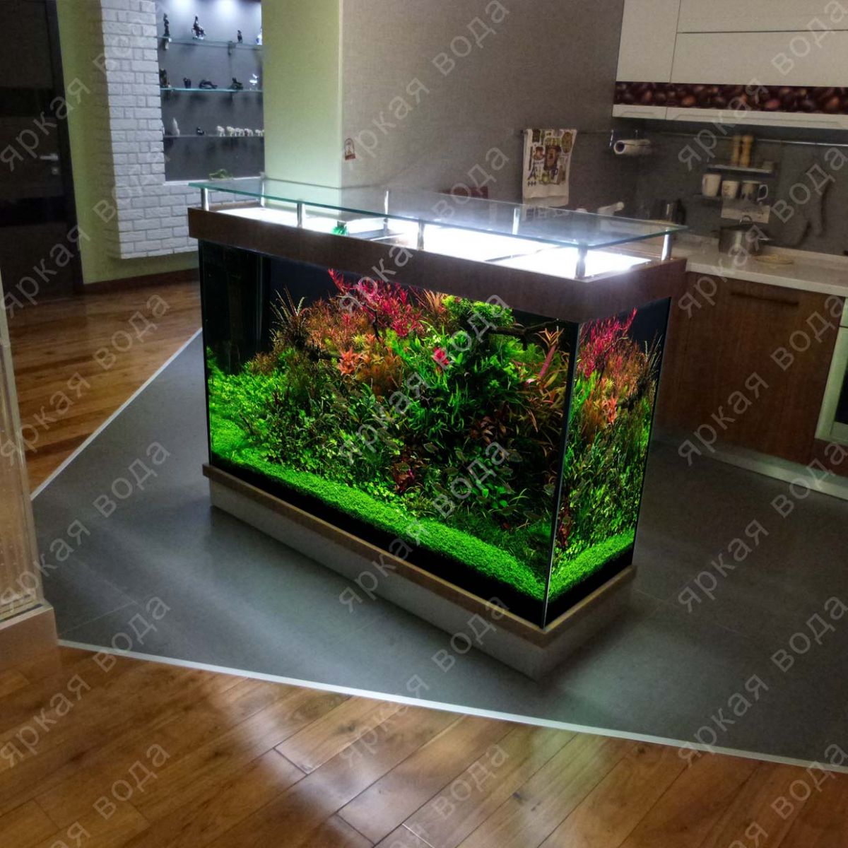 красивый аквариум с растениями
