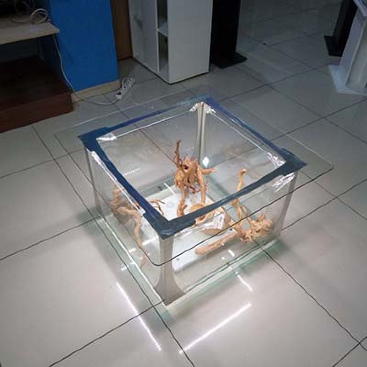 журнальный столик-аквариум на экспозиции