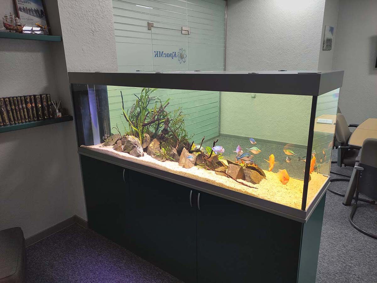 аквариум-перегородка в современном офисе вид сзади
