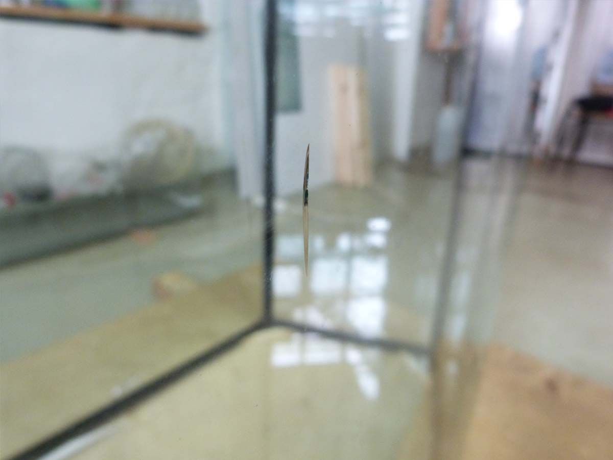 трещина в аквариумном стекле