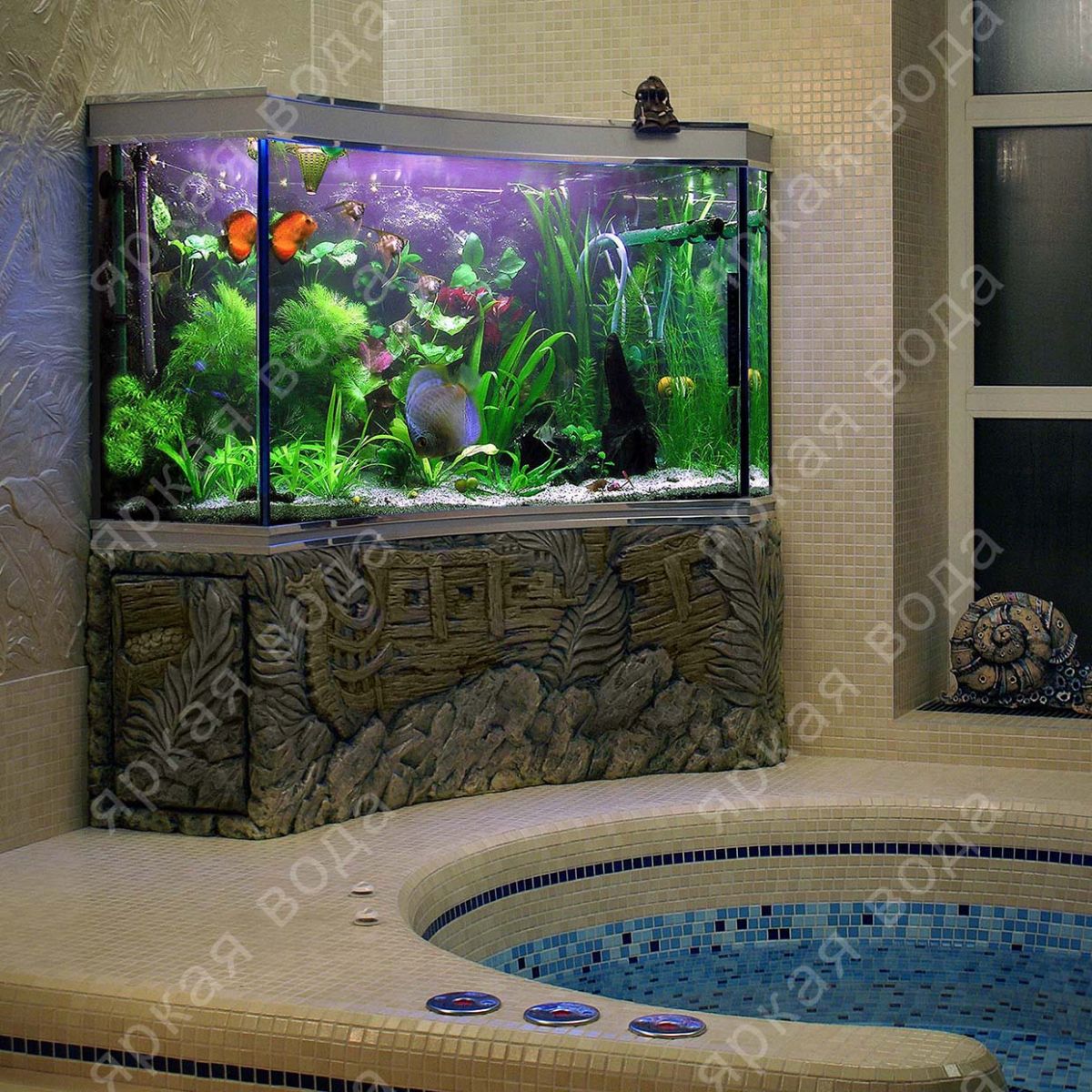 аквариум странной формы