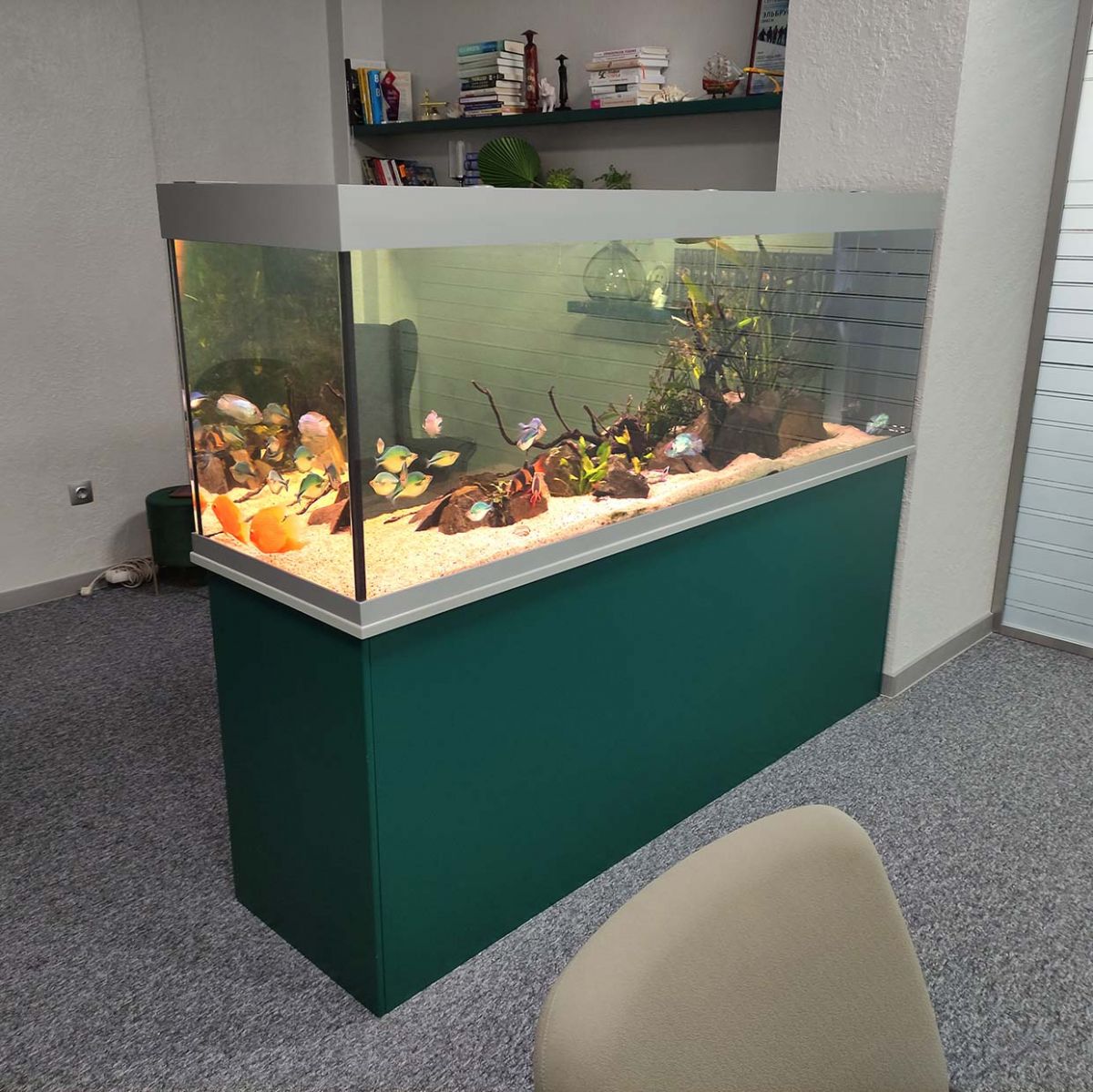 аквариум в офисе