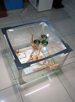 аквастолик журнальный стеклянный